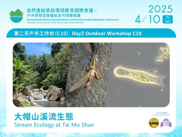 C10 Stream Ecology at Tai Mo Shan