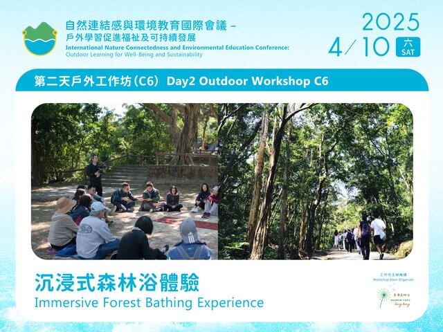 C6 Immersive Forest Bathing Experience